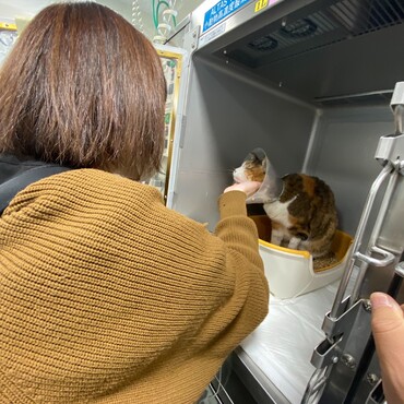 の写真