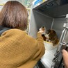 の写真