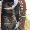 の写真
