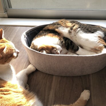 の写真