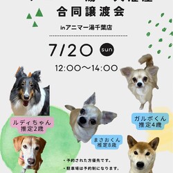 アニマー湯千葉店・犬濯屋合同譲渡会