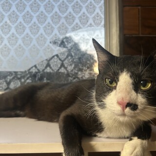 人が大好きな甘えん坊男子