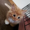 素敵な家族に出会えました☆ちょー君