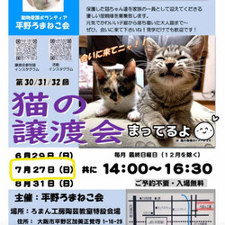 第31回 平野ろまねこ譲渡会 サムネイル1