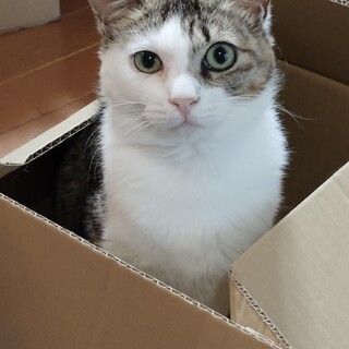 一人で外暮らしをしていたローズちゃん