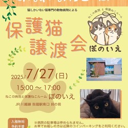 【さいたま市西区】7/27（日)猫専門病院「ぽのいえ」保護猫譲渡会 サムネイル1