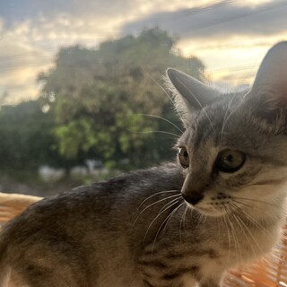 元気いっぱい甘えん坊な男の子