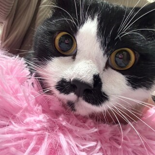 愛称はまめちゃん♡慣れたら甘えん坊♡