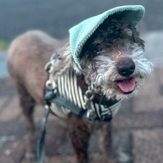 たくさん頑張ったから新しい家族との出会いが楽しみ♡