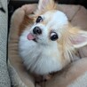じんひめラブ