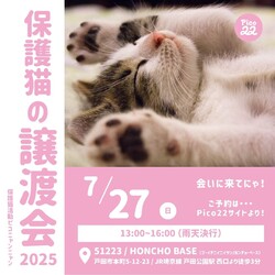 保護猫の譲渡会 サムネイル1