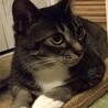 みちるちるちる