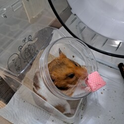 預かり保育中！
