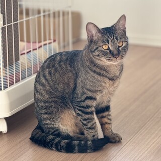 【8/24新橋】落ち着けば自分から甘えるように…♡