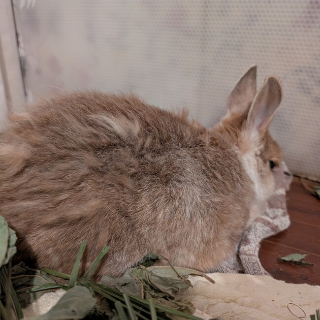 佐久間俊忍のカバー写真