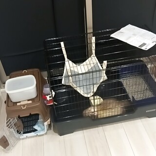 私の可愛ペレットを預かりします