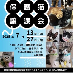 【ののいちにゃんこのおうち】猫の譲渡会