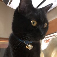 ポルカ