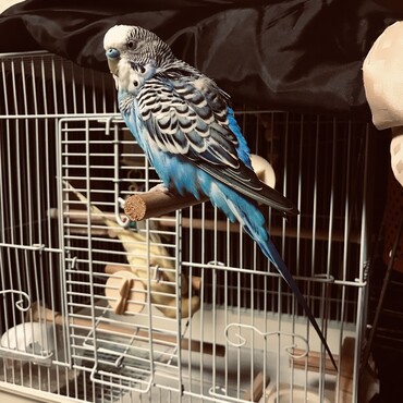 空太くんと新しいお友達