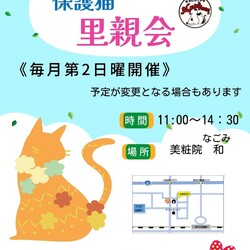 ハピシェア猫の里親会