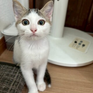 可愛い女の子❣️