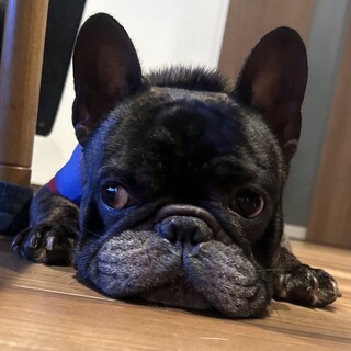 イケメン美形【ゲン】ちゃん