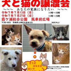 犬猫譲渡会～あなたの家族になりたい～　　　　　　