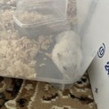 里親さん決まりました！！