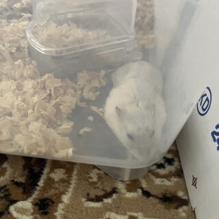 里親さん決まりました！！