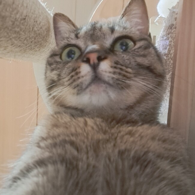 ちやこ.のカバー写真