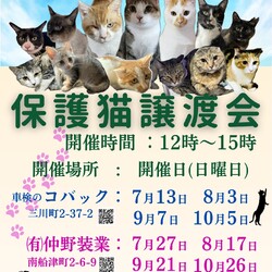 保護猫・譲渡会in(有)仲野装業