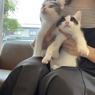 2ヶ月半♡黒白BOYパンダくん
