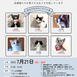 保護猫譲渡会 サムネイル1