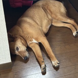 エマ、7年目になりました