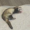 の写真