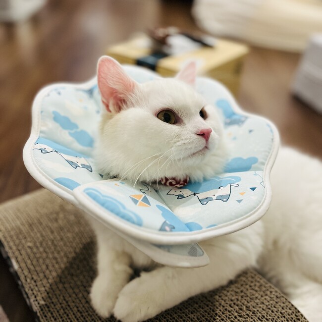 Nみなのカバー写真