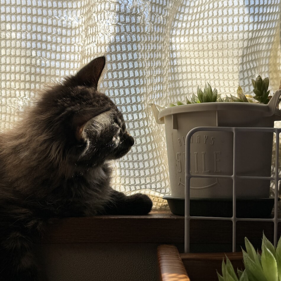 くるみのカバー写真