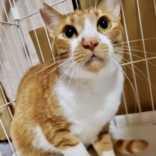 おきなくん