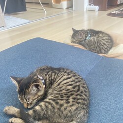 すくすく成長中