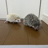 ハリネズミの兄妹 サムネイル5
