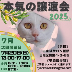 本気の譲渡会