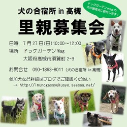 「犬の合宿所in高槻」の里親募集会