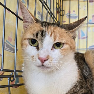 8/17カインズ浦和美園参加　ララちゃん