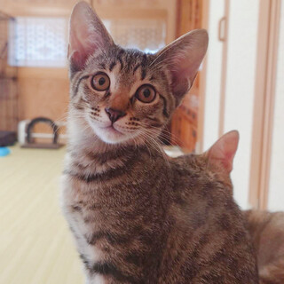 p艮owWIx