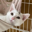 癖強めのイケメン男子