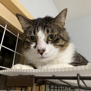 食べるの大好き！食いしん坊な★サボさん