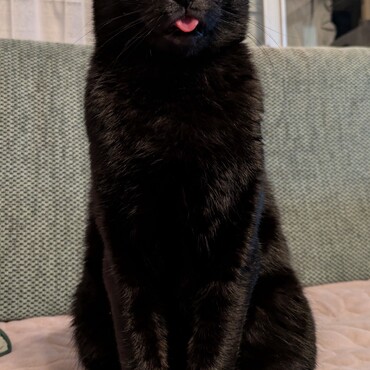 の写真