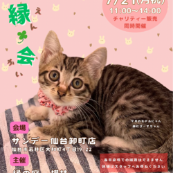保護猫譲渡会『縁会』〜えんかい〜