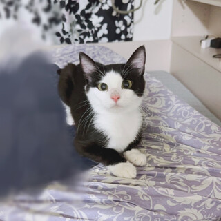 おっとり優しい女の子