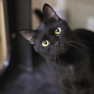 あまあまフェイスのちゅんたくん！